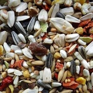 Grey Seed Mix – 1 Kg