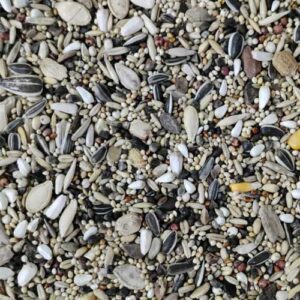 Conure Seed Mix – 1 Kg