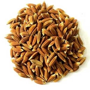 Rice Paddy Seed