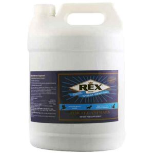 Rex Wheat Germ Oil 5 L